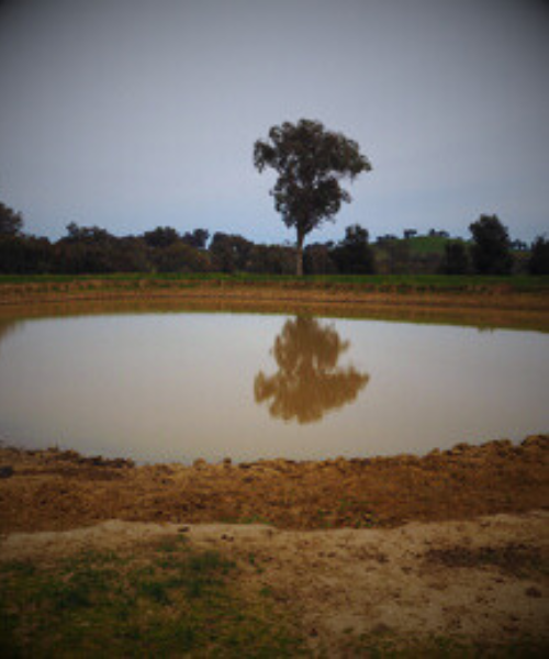 Water Reservoirs