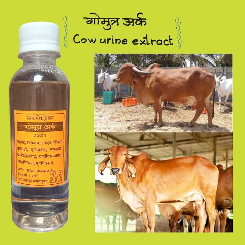 cow-urine-extract